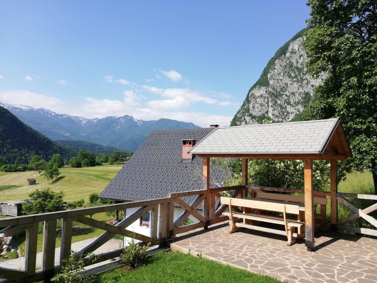 Apartmaji Mojca 보히니 외부 사진