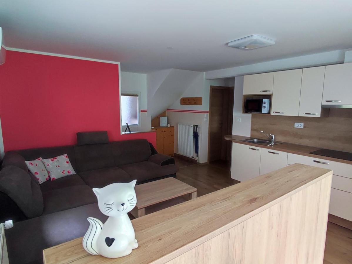 Apartmaji Mojca 보히니 외부 사진