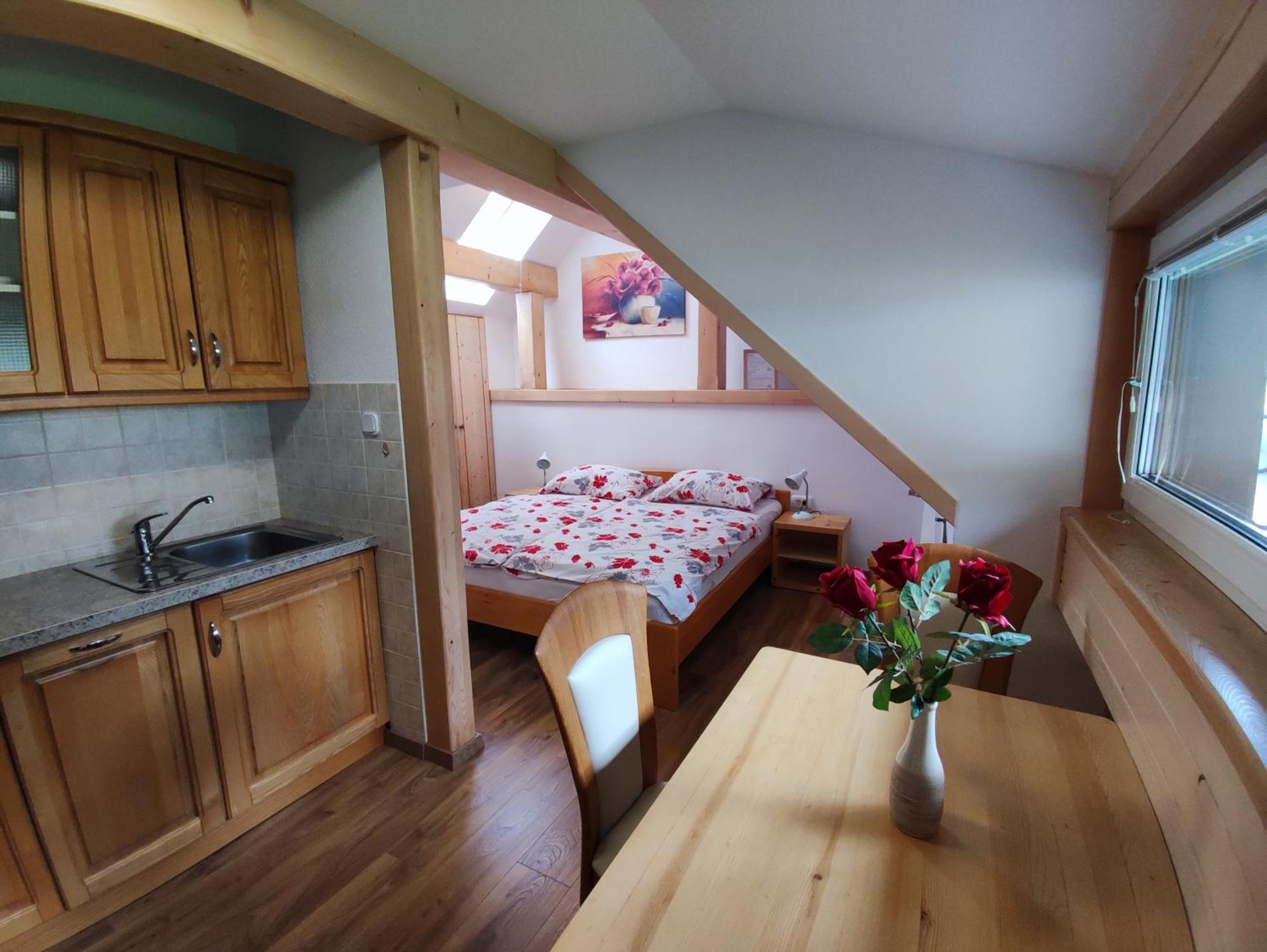 Apartmaji Mojca 보히니 외부 사진